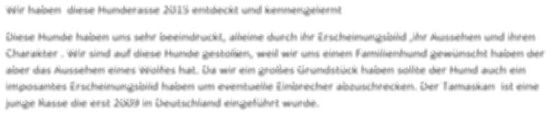 Wir haben  diese Hunderasse 2015 entdeckt und kennengelernt   Diese Hunde haben uns sehr beeindruckt, alleine durch ihr Erscheinungsbild ,ihr Aussehen und ihren  Charakter . Wir sind auf diese Hunde gestoß en, weil wir uns einen Familienhund gewünscht haben der  aber das Aussehen eines Wolfes hat. Da wir ein großes Grundstück haben sollte der Hund auch ein  imposantes Erscheinungsbild haben um eventuelle Einbrecher abzuschrecken. Der Tamaskan  ist eine  junge R asse die erst 2009 in Deutschland eingeführt wurde.